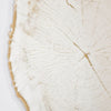 Arbo Dark Mirror | Iconic Designer Mirror (Copy) Mirror Deknudt Mirrors 